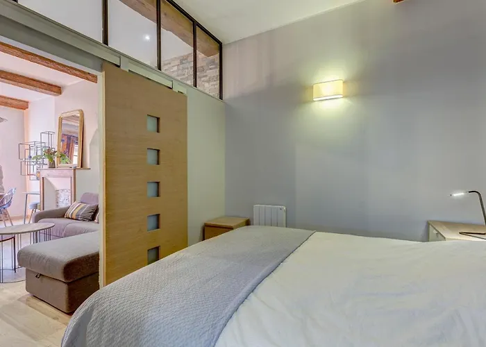 Le Carnot 29 - Beautiful Apartment In The Heart Of Annecy